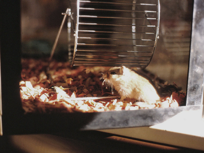 Photos 201 400 Monaghan 2008 12 07jpg  373